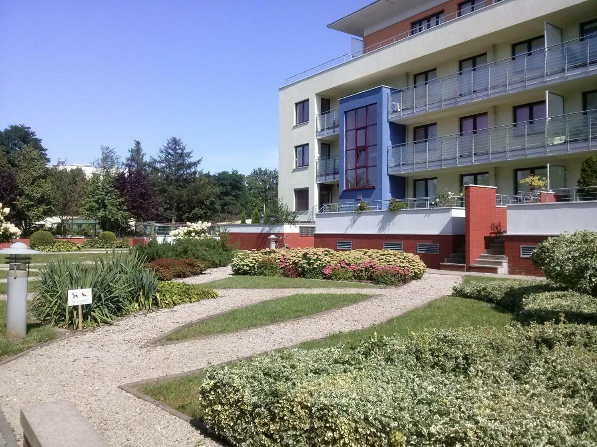 żaglowce